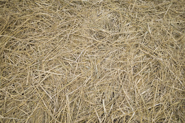 藁　背景