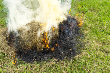 Burning dry grass - Environmental issues
