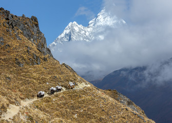 Ama Dablam (6812 m) in the first light of the Sun (view from Pho