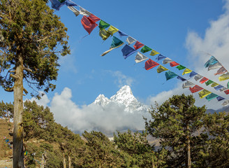 Ama Dablam (6812 m) in the first light of the Sun (view from Phortse to Periche trek) - Everest...