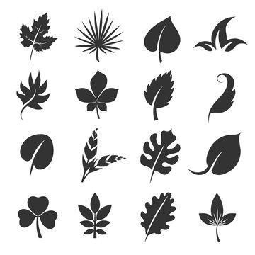 Tree leaf silhouettes. Leaves vector illustration isolated on white background