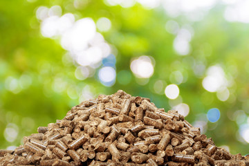 Wood pellets on a green background. Biofuels.