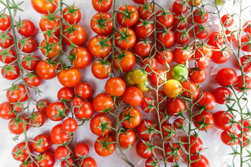 Juicy organic Cherry tomatoes isolated over white background
