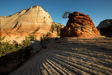 Grand canyon, Arizona. The Grand Canyon is a steep-sided canyon carved by the Colorado River in the state of Arizona.
