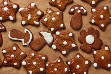 homemade gingerbread cookies