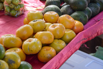 Fresh oranges  in the market