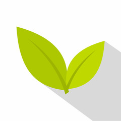 Leaf icon. Flat illustration of leaf vector icon for web