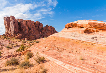 Fototapeta premium Valley of Fire