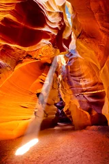Foto op Plexiglas Bestsellers Landschappen Grote canion, Arizona. De Grand Canyon is een steile canyon uitgehouwen door de Colorado-rivier in de staat Arizona.