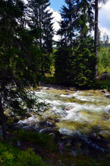 Obraz premium landscape with mountains trees and a river in front