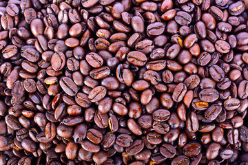 coffee bean background