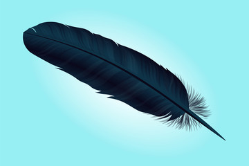 Dark blue bird feather on a  background. Vector