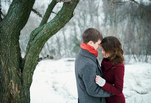 Man tenderly embraces beautiful girl. They stand on a snow-covered meadow at a huge tree. Love of two hearts. Scenic winter walk in Park. A romantic feeling. Fantastic shooting. Fashionable toning. 