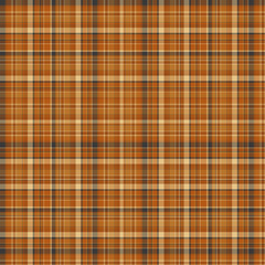 Checkered fabric tartan textile. Vector vintage seamless pattern.