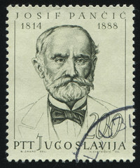 Josif Pancic
