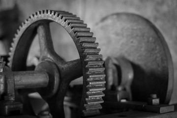 Gear
