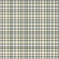 Checkered fabric tartan textile. Vector vintage seamless pattern.