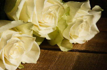 White roses side view 2