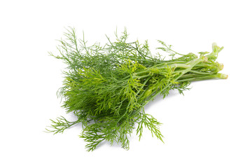 fresh dill on white background.