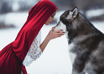 Girl in costume Little Red Riding Hood with dog malamute like a © Stanislav
