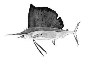 watercolor fish, sailboad fish - obrazy, fototapety, plakaty