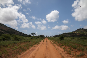 Fototapeta na wymiar Rote Piste in Tsavo