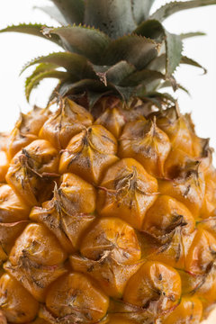 Ripe juicy fresh baby pineapple macro close up
