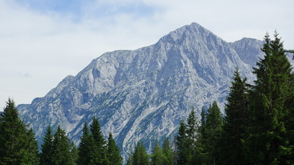 schöner erhabener Gipfel der Alpen über den Wald der Fichten