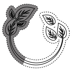 Leaves natural concept icon vector illustration graphic design