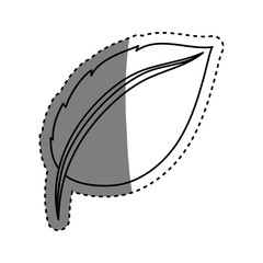 Leaf natural concept icon vector illustration graphic design
