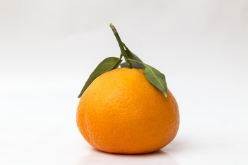Tangerine over white background