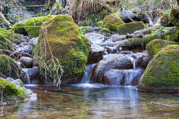 Wasserfall im Märchenwald