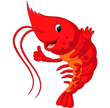 Cute lobster cartoon