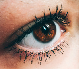 Ojo marron mirando para arriba