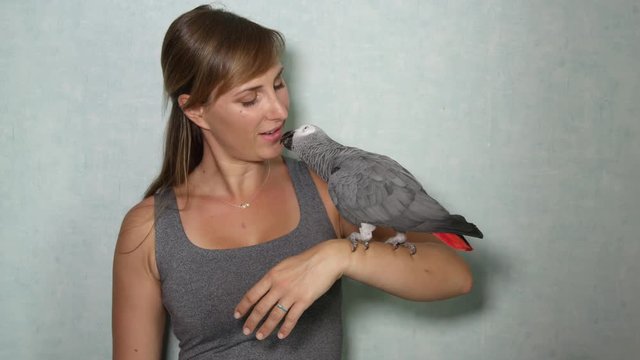 CLOSE UP: Portrait of African grey parrot sitting on girl's hand and kissing her