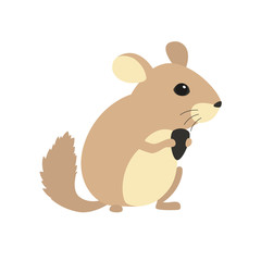 Cute chinchilla with sunflower seeds in his paws