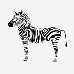 animal zebra vector illustration wild mammal white © dashakovtun