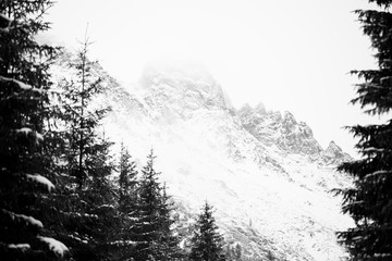  Mountains - Zakopane in the winter - monochrome