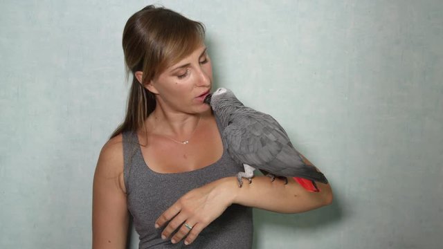 CLOSE UP: Portrait of lovable African grey parrot sitting on young girl's hand