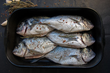 Royal bream fish  prepared in tray
