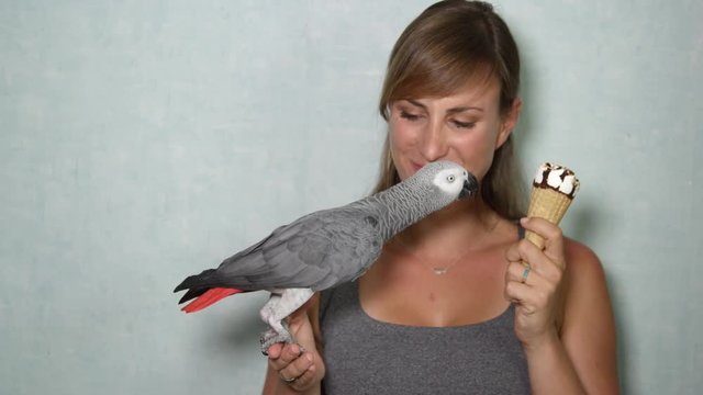 CLOSE UP: Portrait of beautiful girl and African grey parrot eating icecream