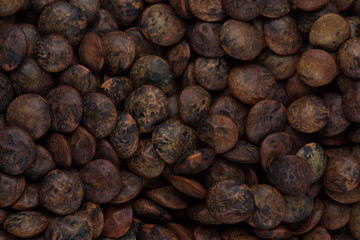 Brown lentils close up
