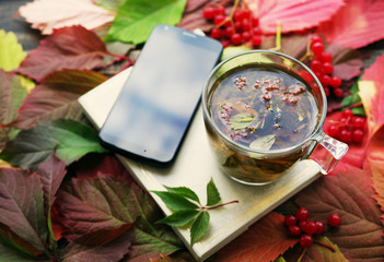 Herbal tea in a glass transparent cup, book and smartphone on autumn leaves. Herbal tea. Traditional medicine.