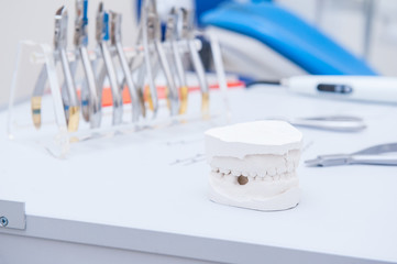 Close up dental gypsum jaw model on the background of orthodontist set of clamps and pliers. Selective focus