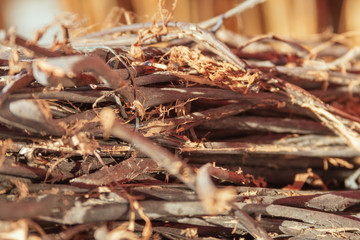 Close-up macro of bundle of broken dried branches