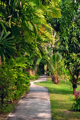 Obraz premium Alley in tropical garden