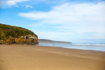 Beach Life