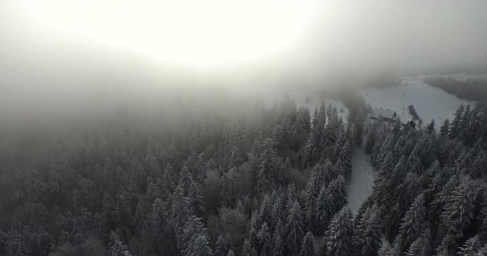 mgła, śnieg, las, g&oacute;ry, chmury, niebo, pogoda, para, wysoko, schronisko, aura, l&oacute;d, obłoki, dron, drzewa, choinka, natura, fauna, flora, biel, szarość, cuda natury, z lotu ptaka