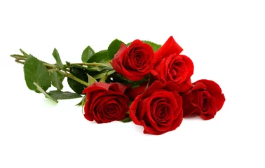 Foto op Plexiglas Rozen rode roos boeket geïsoleerd op witte achtergrond
