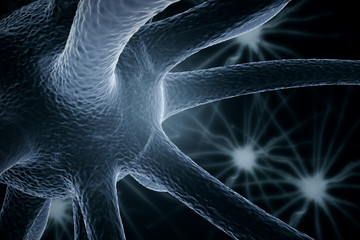 Grey neurone closeup